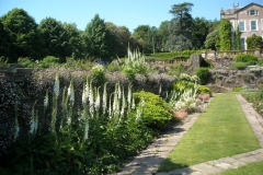 Foxgloves day trip to Staffordshire